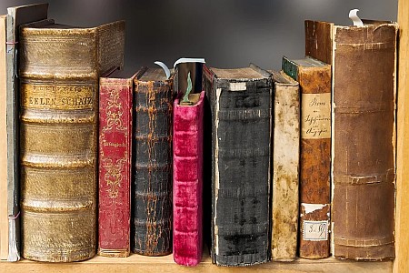Wybrane zagadnienia z historii literatury w interpretacji Mistrzów akademickich.